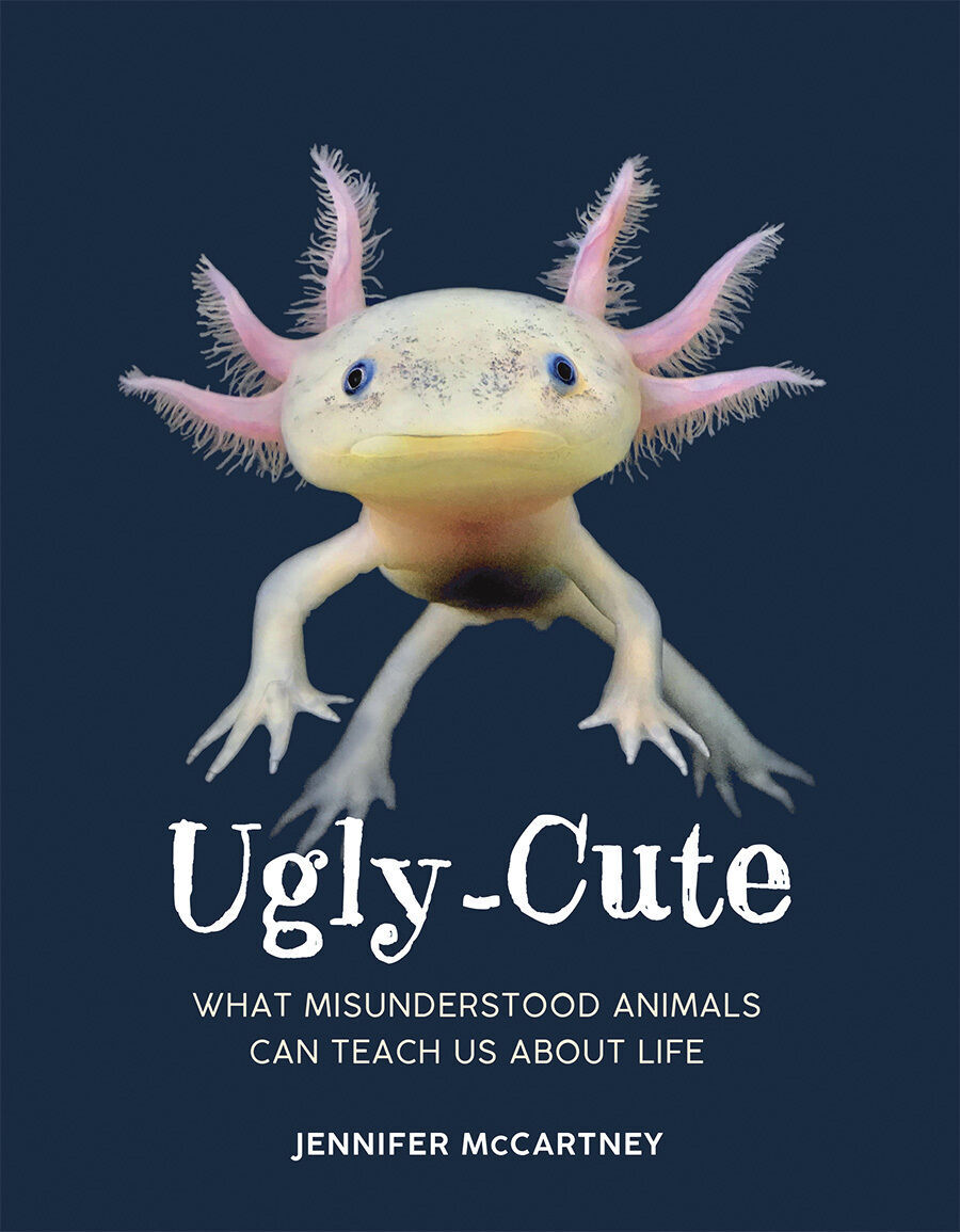 “Ugly-Cute,” by Jennifer McCartney